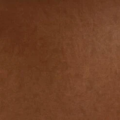 2pk Bowden Dining Chair With Arms Caramel Faux Leather - Project 62™ -Project 62 Elegant Store GUEST 02f52629 0188 4088 8b4c 5ef15f70b457