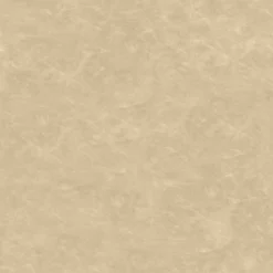 2pk Bowden Faux Leather And Metal Dining Chairs Natural - Project 62™ -Project 62 Elegant Store GUEST 0d6e1b42 49a9 4398 915f e3357eb3f975