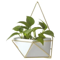 Succulent Wall Geometric Hanging White/Gold - Project 62™ -Project 62 Elegant Store GUEST 2836534e daff 4fb8 8ad7 0f482e939ebb