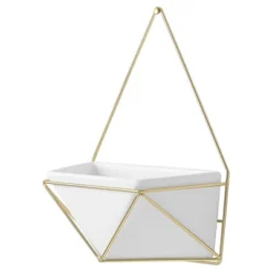 Project 62 Elegant Store 2 Succulent Wall Geometric Hanging White/Gold - Project 62™