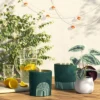 30oz Cylindrical Ceramic Arch 2-Wick Citronella Candle Deep Green - Project 62™ -Project 62 Elegant Store GUEST a3572f6e a8bb 45a6 bdf8 728ecbe29728