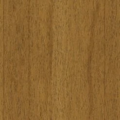 2pk Timo Dining Chair Gray - Project 62™ -Project 62 Elegant Store GUEST b327b469 62d5 47db af48 60b3167dfa12